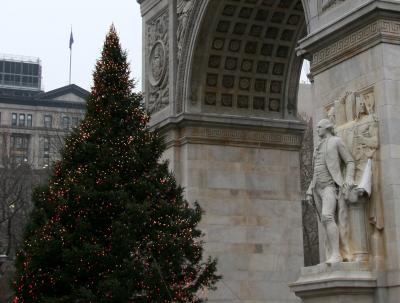 Arch & Christmas Tree