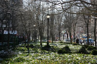 LaGuardia Place Garden