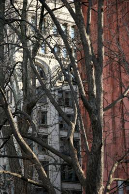 NYU Library & Business School