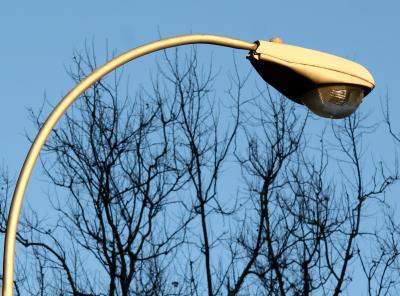 Street Lamp & Tree Tops