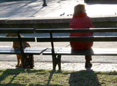 Early Morning in the Park