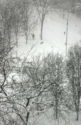 Blizzard of '06'