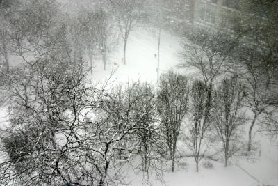Blizzard of '06'