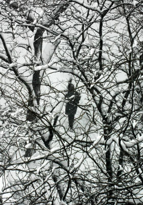 Blizzard of '06'