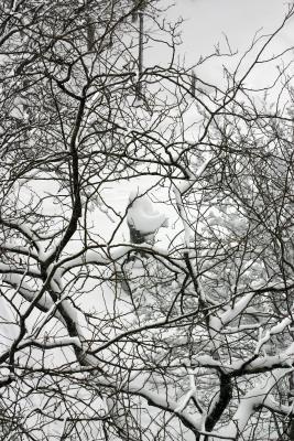 Blizzard of '06'