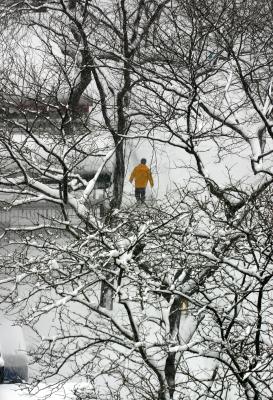 Blizzard of '06'
