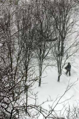 Blizzard of '06'