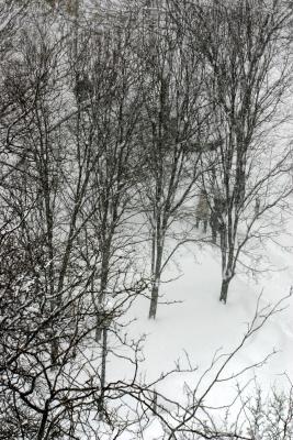 Blizzard of '06'