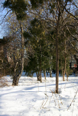 North View from West Houston Street