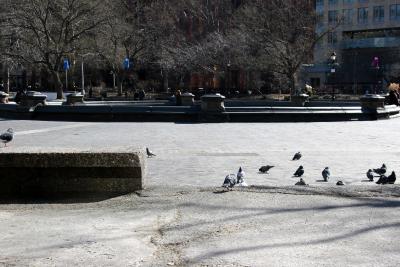 Fountain Area