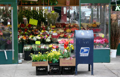 Flowers by Parcel Post