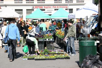 Flower Market