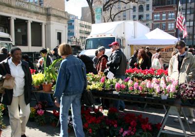 Flower Market