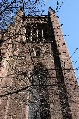 Ascnesion Church Tower & Magnolia Tree