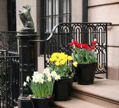 Stoop Flowers