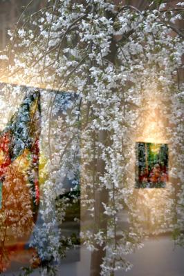 Prunus Tree Blossom Reflection in a NYU Gallery Window
