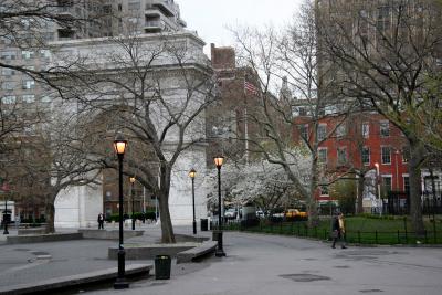 Early Morning Park View