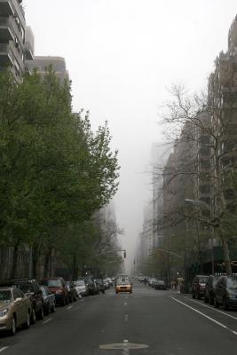 Foggy Morning - North View