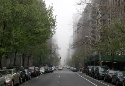 Foggy Morning - North View