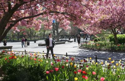 Spring in Washington Square Park