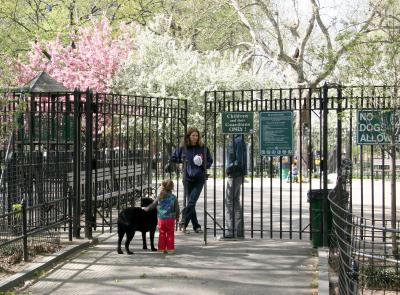 Children's Playground - No Dogs Allowed