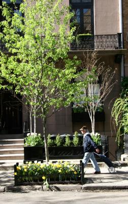 Street Garden