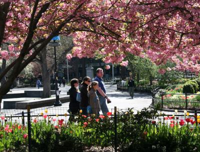 Springtime - Family Outing