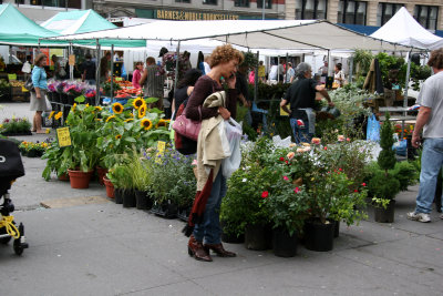 Cell Phone Call by Garden Plants