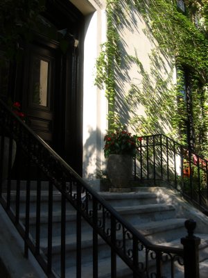 Residence Stoop with Woodbine Wall & Long Shadows