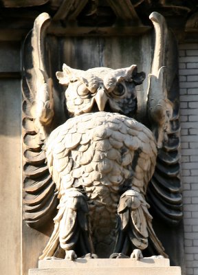 Owls - Merchants Building