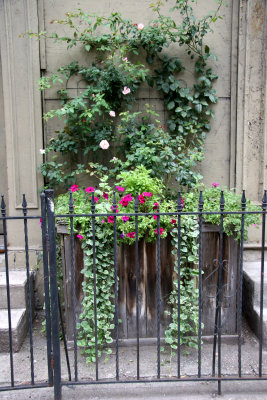 Sidewalk Garden