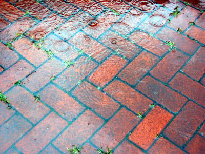 Rain on the Garden Walkway