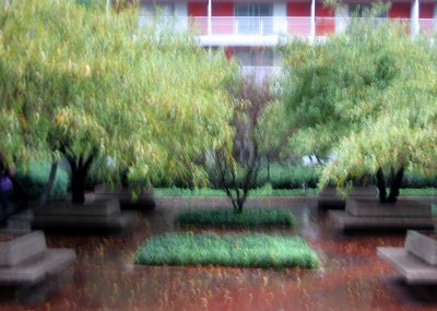 Impressionistic Garden View in the Rain