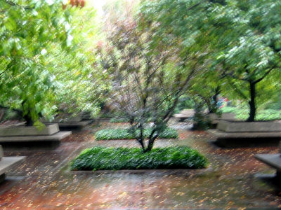 Impressionistic Garden View in the Rain