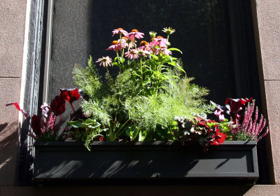 Window Flower Box