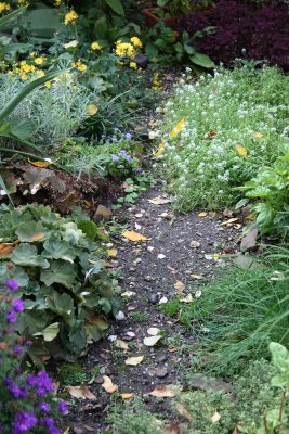 Garden Plot Path