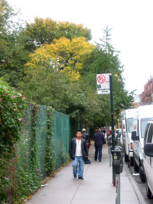 Westside of the Community & Time Landscape Gardens - Downtown View