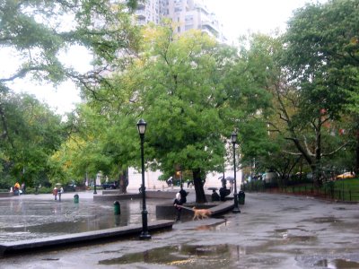 Rainy Day - Park View