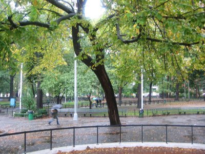 Rainy Day - Park View