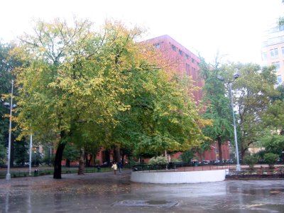 Rainy Day - Park View