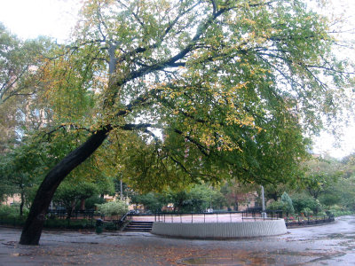 Rainy Day - Park View