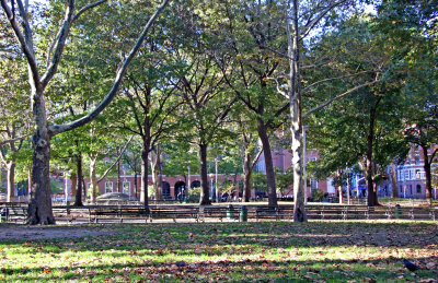 Park View - NYU Law School