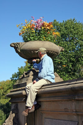 Bethesda Fountain