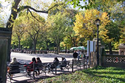 Bethesda Fountain & Maple Hill