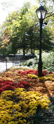 Chrysanthemum Garden at the Foot of the Mall