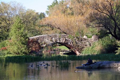 Pond View