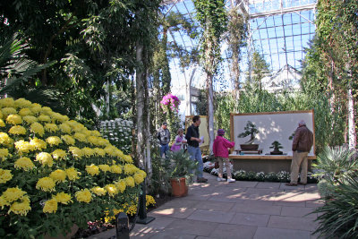 Chrysanthemum & Bonsai Show 2007 - New York Botanical Garden