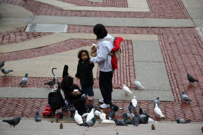 Feeding the Birds on the Low Library Steps