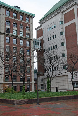 Columbia University Pupin Labs & Shapiro Science Buildings