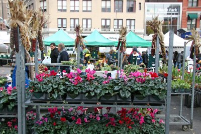 Farmers Market View